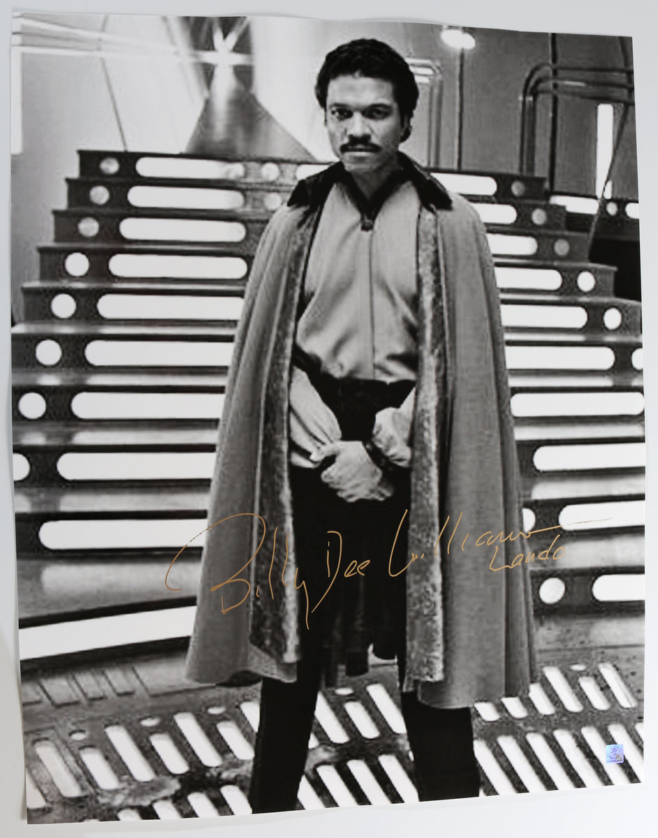 IMG_3015_1200x1200.jpg?v=