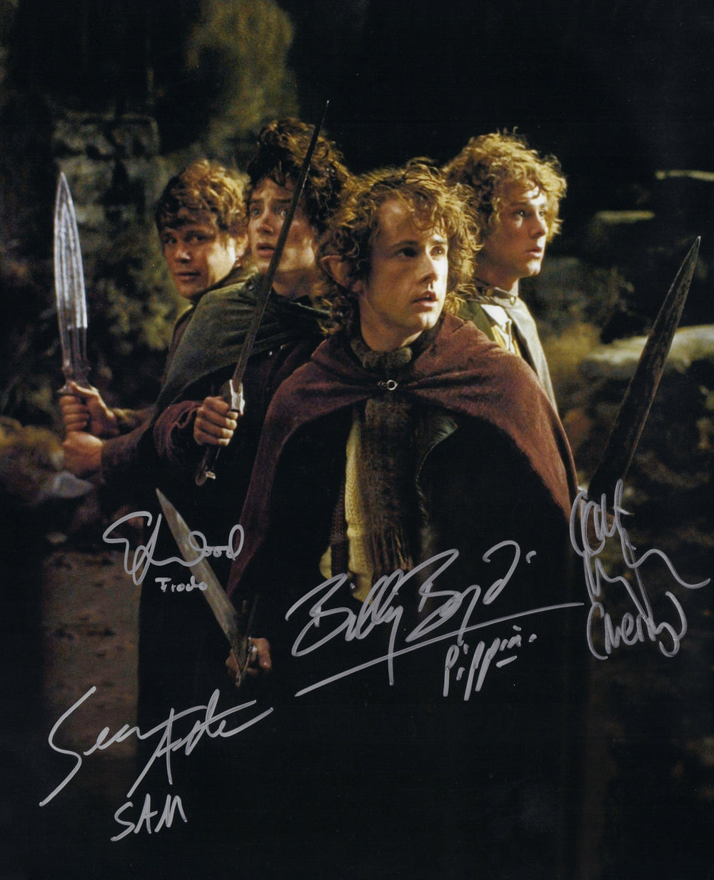 The Lord of the Rings: The Fellowship of the Ring Hobbits 16x20 Photo Cast Signed by Elijah Wood, Sean Astin, Dominic Monaghan & Billy Boyd with Character Names