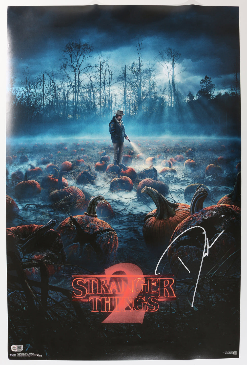 David Harbour as Jim Hopper in Stranger Things (SWAU) Signed 22x34 Poster