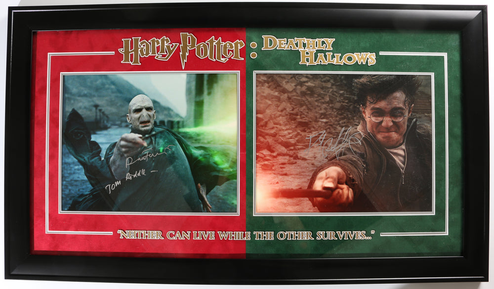 Daniel Radcliffe as Harry Potter & Ralph Fiennes as Lord Voldemort in Harry Potter & The Deathly Hallows Part 2 Framed Set of 11x14 Photos with Character Name