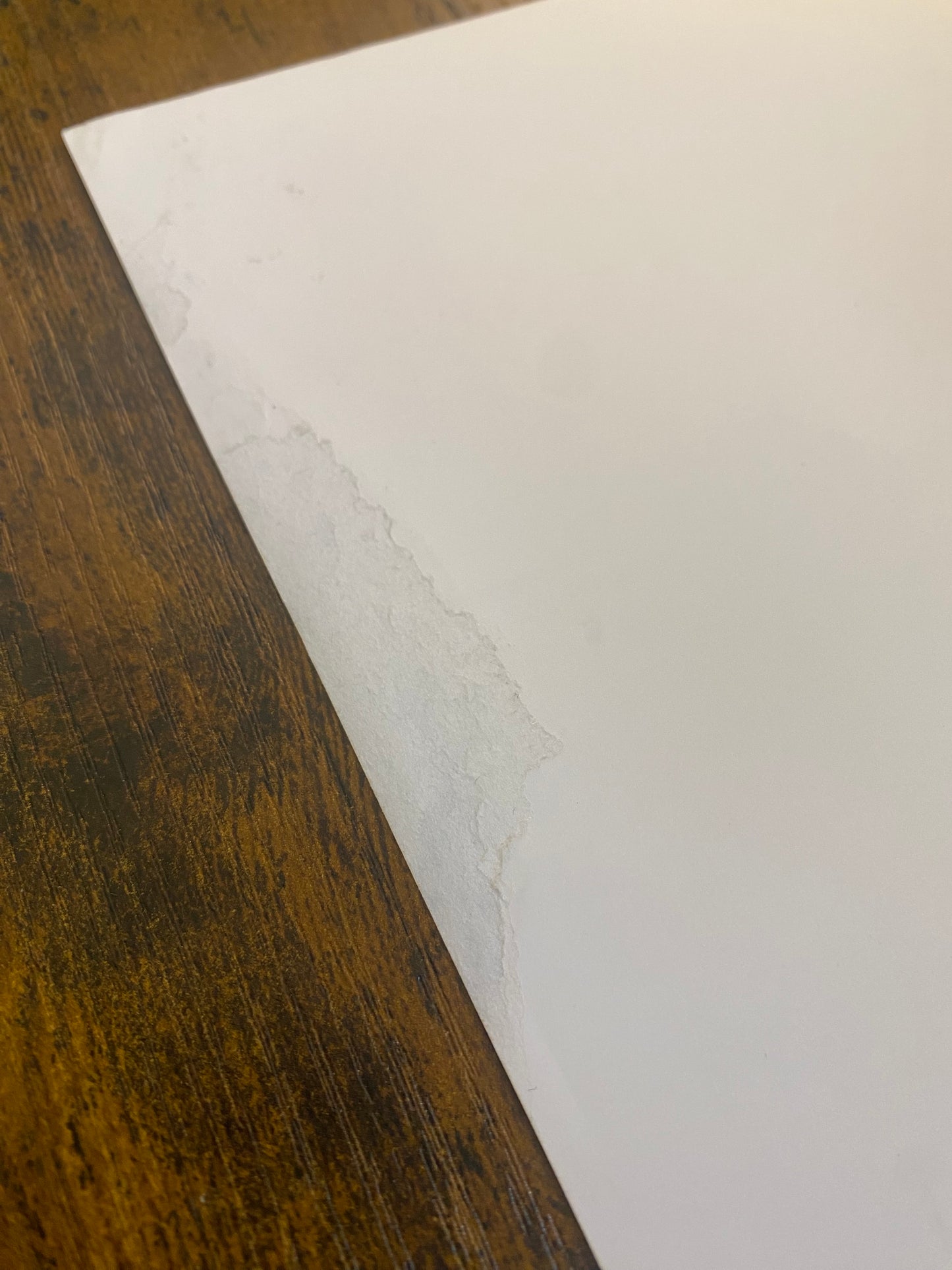 
                  
                    Clint Eastwood as Josey Wales in The Outlaw Josey Wales (PSA) Signed 11x14 Photo
                  
                