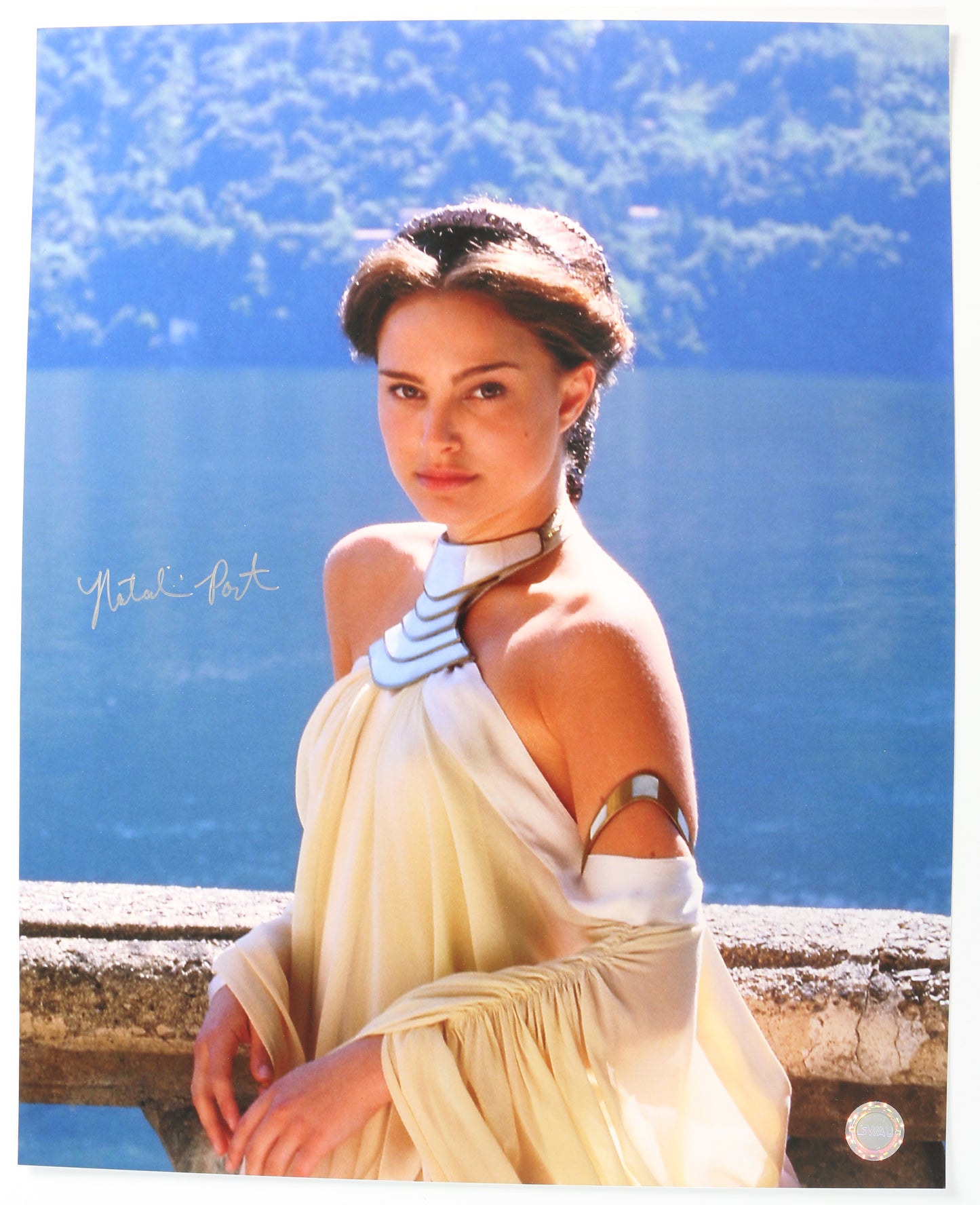 
                  
                    Natalie Portman as Padme Amidala in Star Wars Episode II: Attack of the Clones (SWAU) Signed 16x20 Photo
                  
                