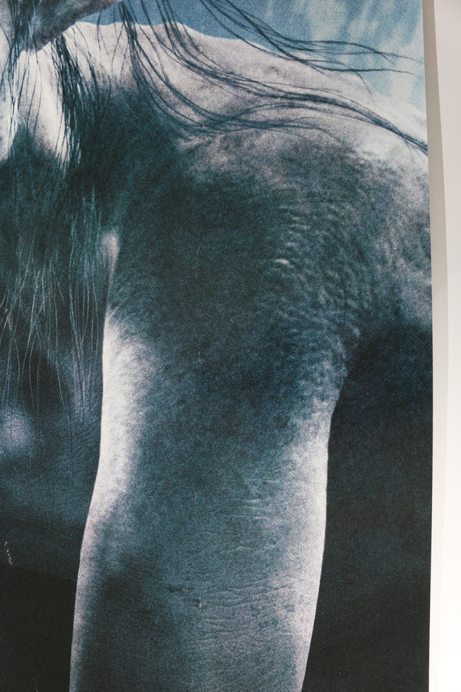 
                  
                    Andy Serkis as Gollum in The Lord of the Rings: The Return of the King Signed 27x40 Poster with Character Name & Quote
                  
                