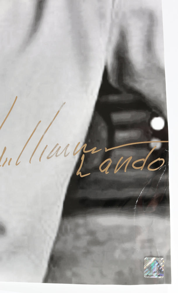 
                  
                    Billy Dee Williams as Lando in Star Wars: The Empire Strikes Back (Coolwaters) Signed 20x25 Poster
                  
                