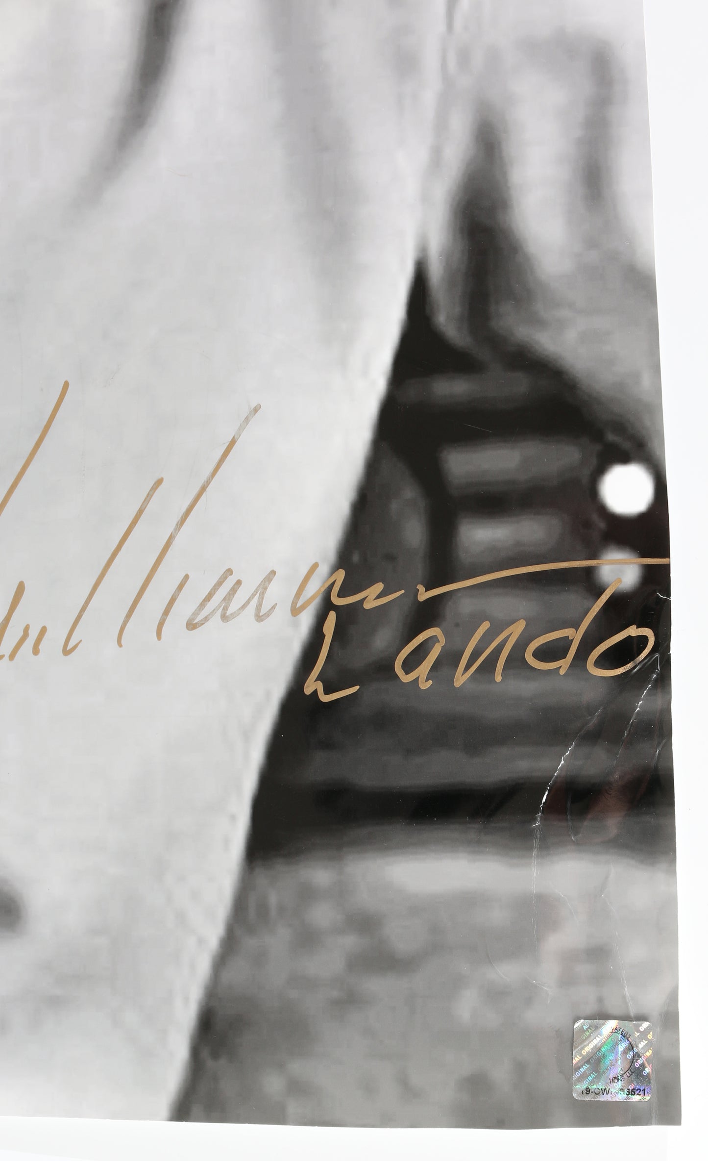 
                  
                    Billy Dee Williams as Lando in Star Wars: The Empire Strikes Back (Coolwaters) Signed 20x25 Poster
                  
                