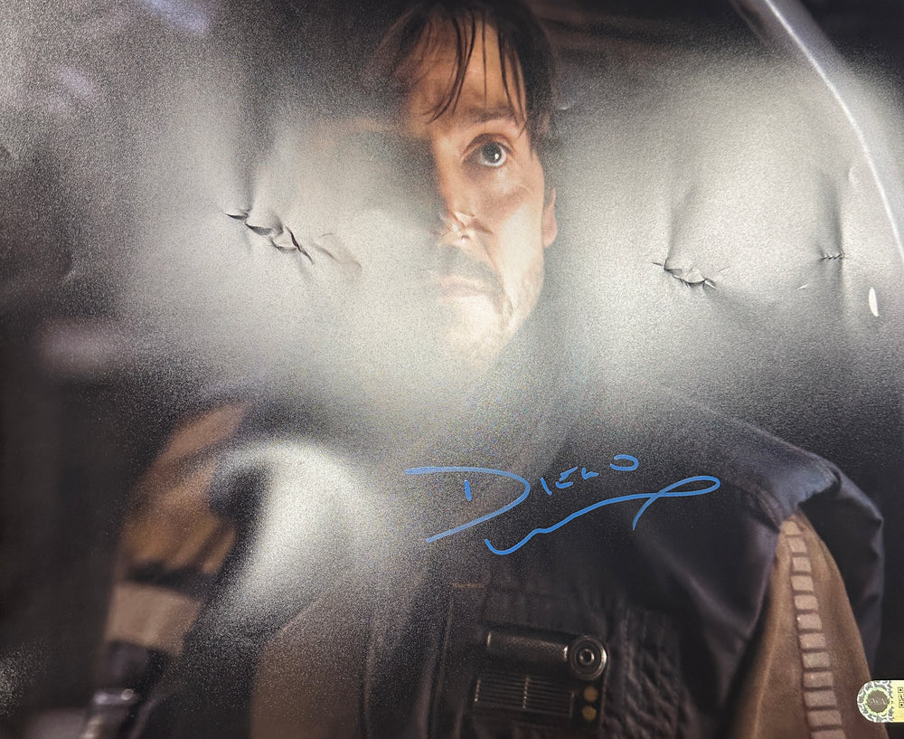 
                  
                    Diego Luna as Cassian Andor in Rogue One: A Star Wars Story (SWAU) Signed 16x20 Photo
                  
                