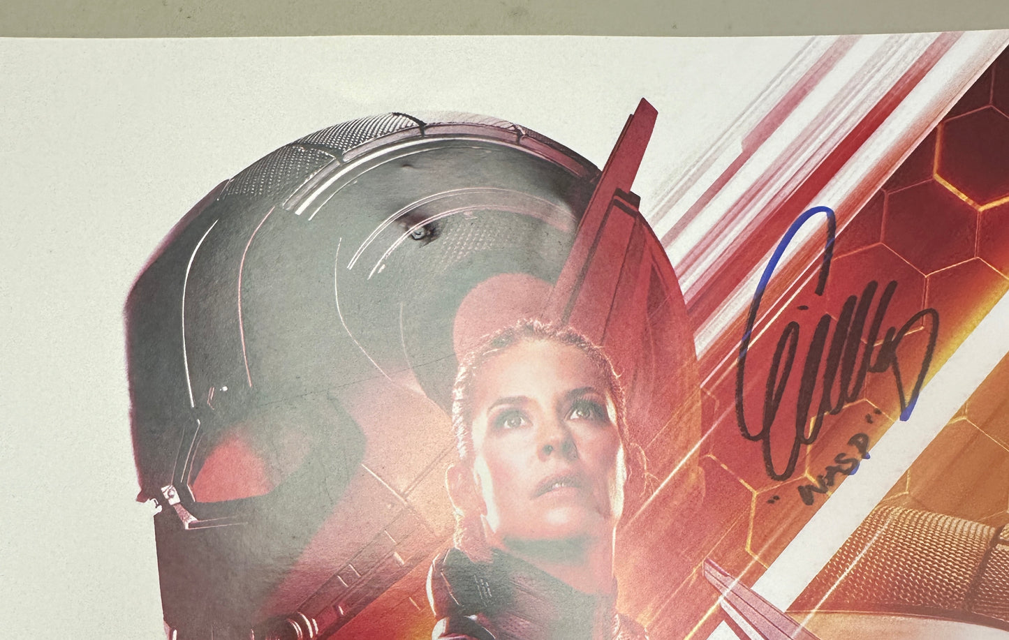 
                  
                    Ant-Man and the Wasp 11x17 Photo Cast Signed by Paul Rudd, Evangeline Lilly, & Walton Goggins
                  
                