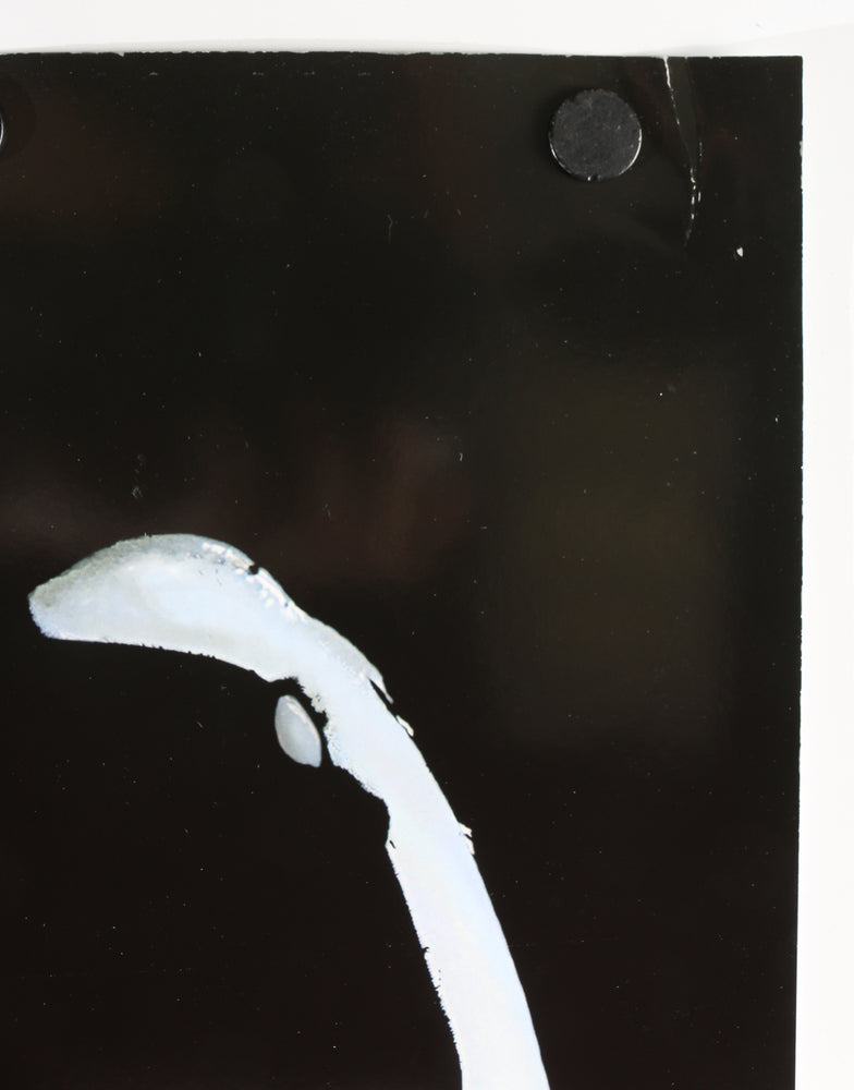 
                  
                    Tom Hardy as Eddie Brock / Venom in Venom Signed 27x40 Poster
                  
                