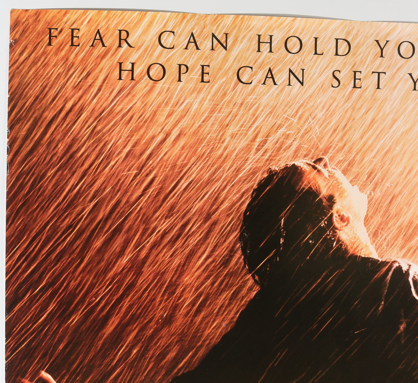 
                  
                    Tim Robbins as Andy Dufresne in The Shawshank Redemption (Beckett) Signed 27x40 Poster
                  
                