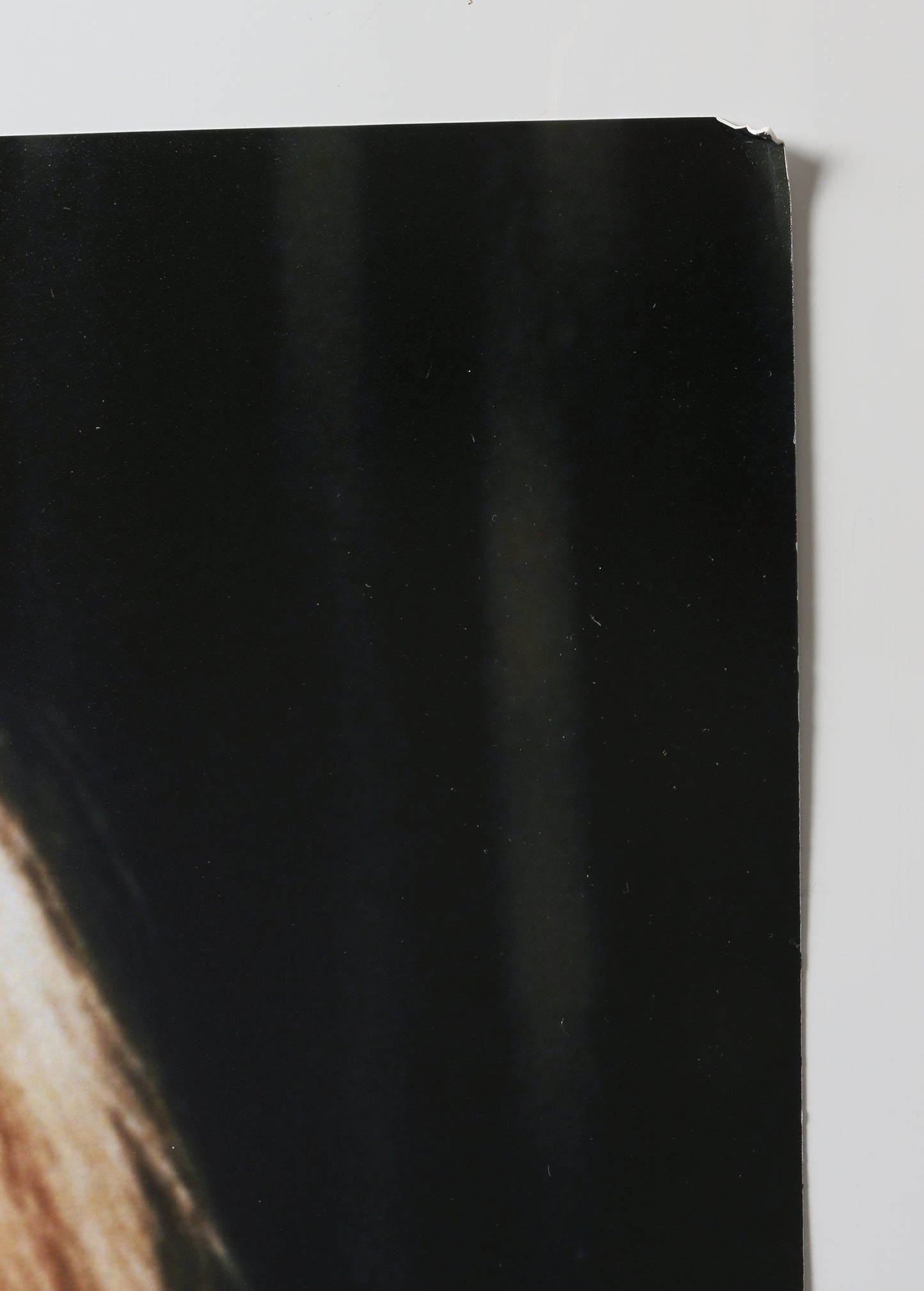 
                  
                    Julie Newmar as Catwoman in Batman 1966 (Beckett Witnessed) Signed 16x20 Photo
                  
                