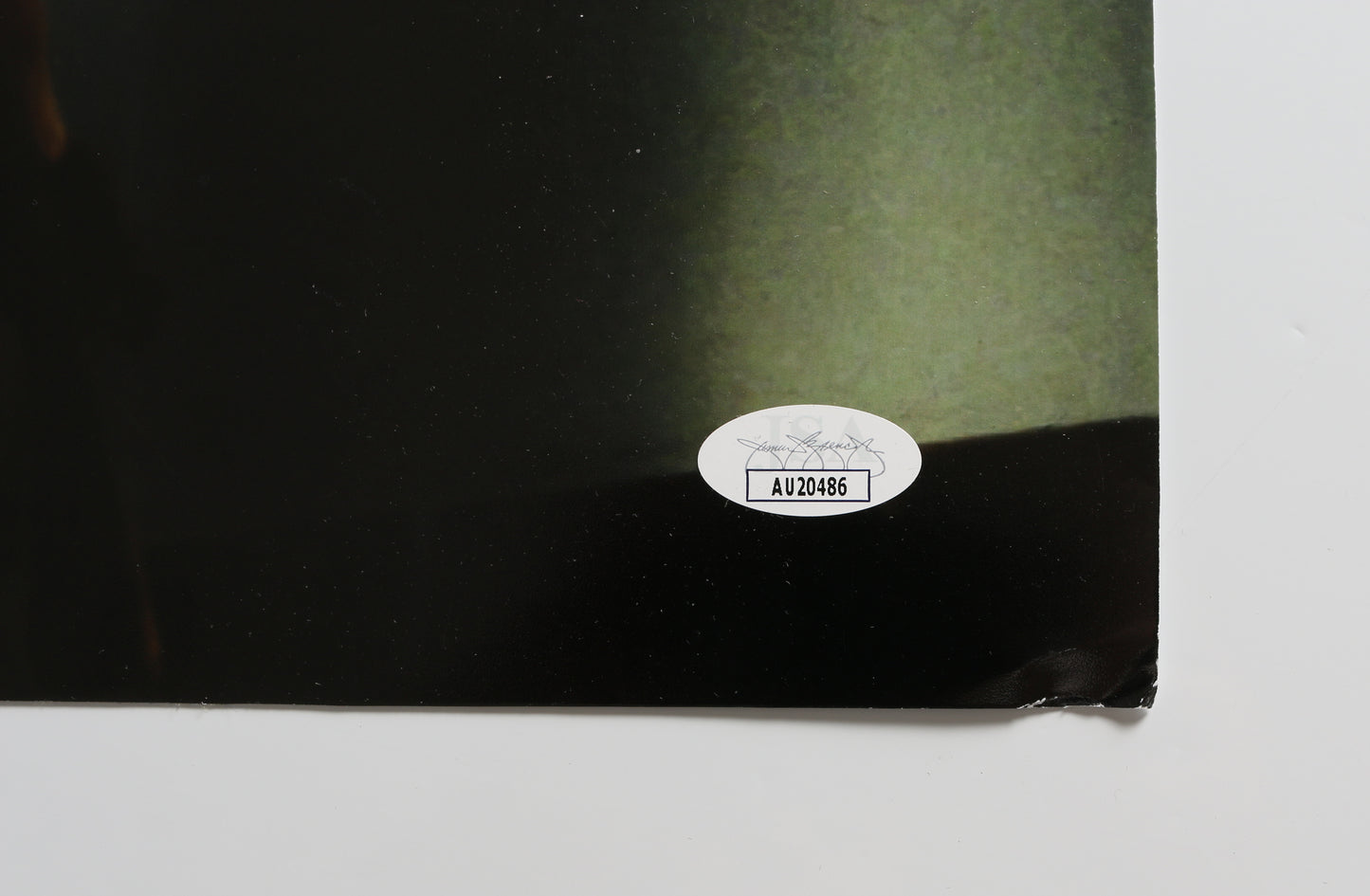 
                  
                    Joseph Mazzello as Tim Murphy in Jurassic Park Signed 20x30 Poster with Character Name
                  
                