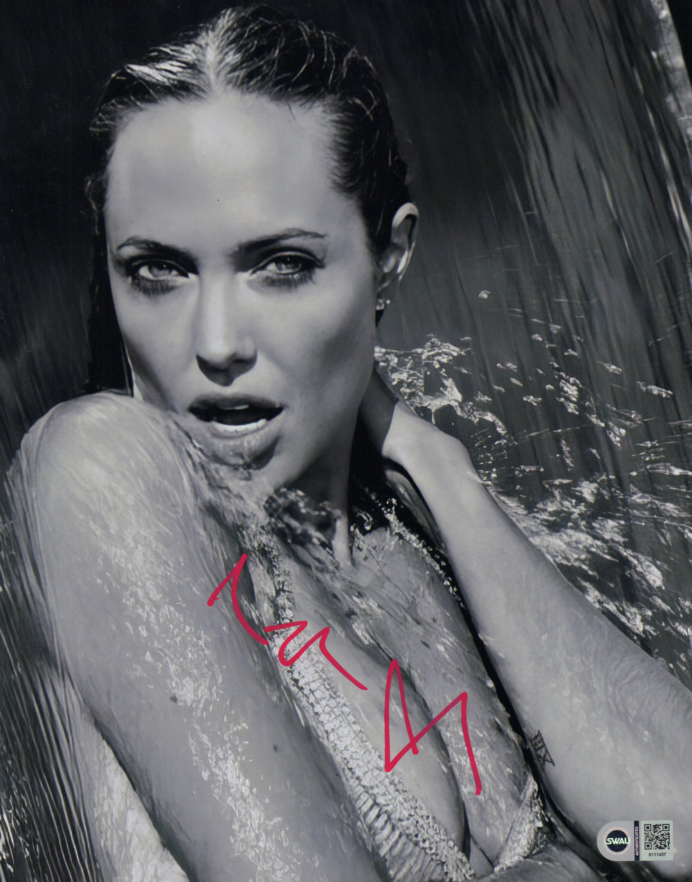 Angelina Jolie from Tomb Raider, Mr. & Mrs. Smith, The Eternals, & Maleficent Sexy (SWAU) Signed 11x14 Photo
