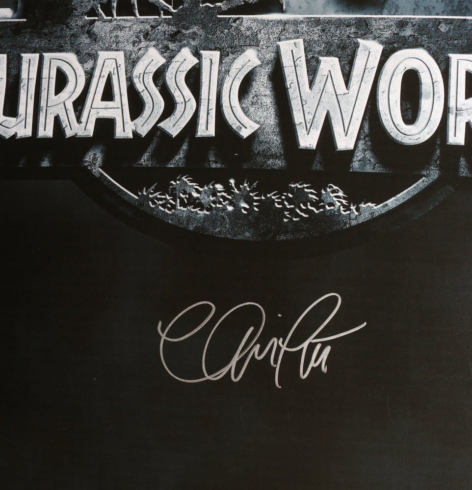 
                  
                    Chris Pratt as Owen Grady (SWAU) Signed 22x34 Poster
                  
                