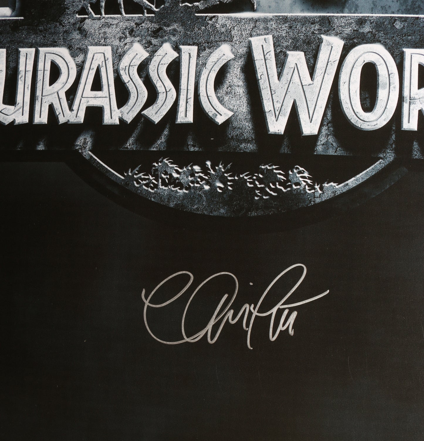 
                  
                    Chris Pratt as Owen Grady (SWAU) Signed 22x34 Poster
                  
                