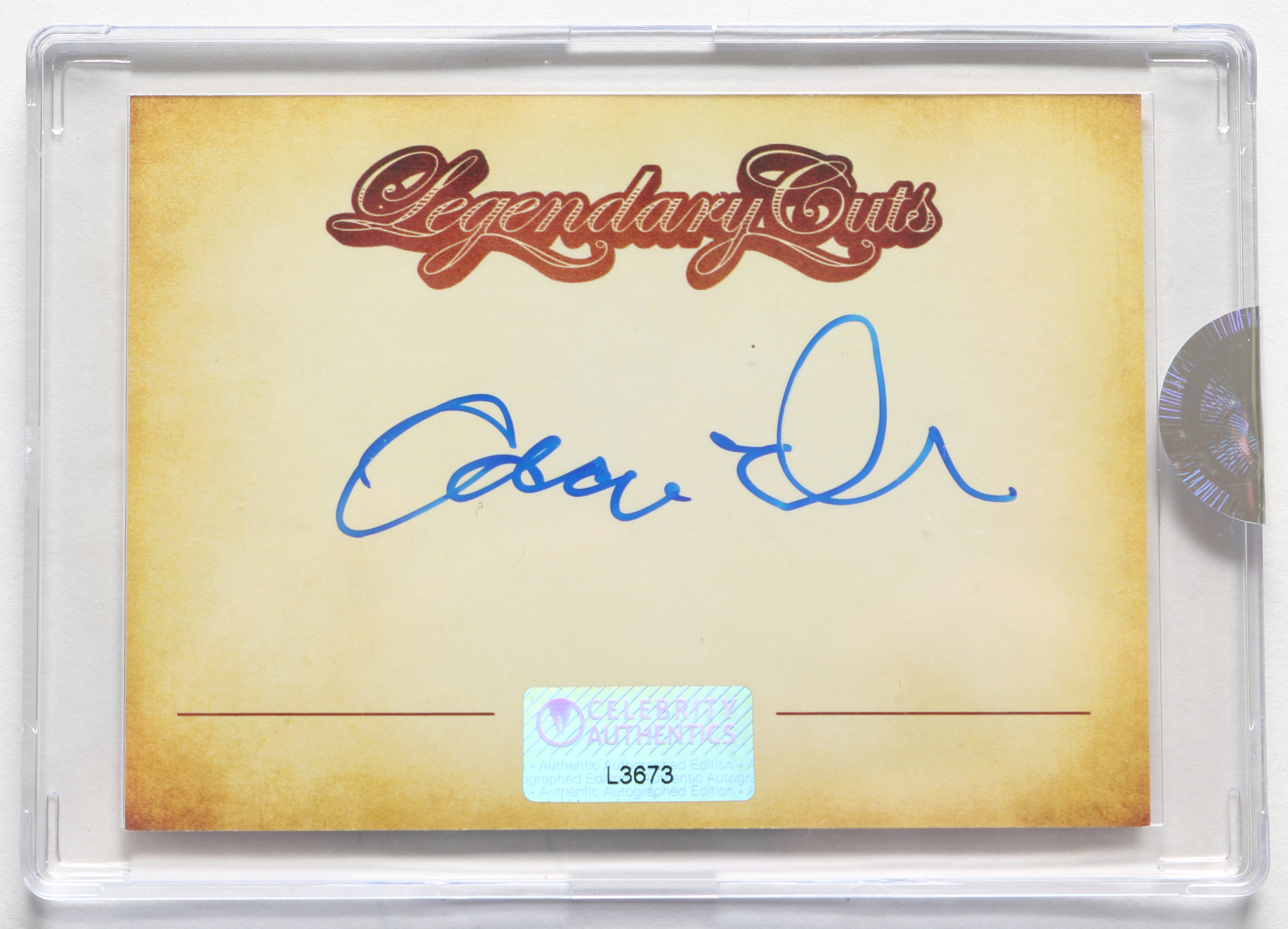 レビュー高評価アイテム特集｜ファッション通販 Products – Auction SWAU アメコミ