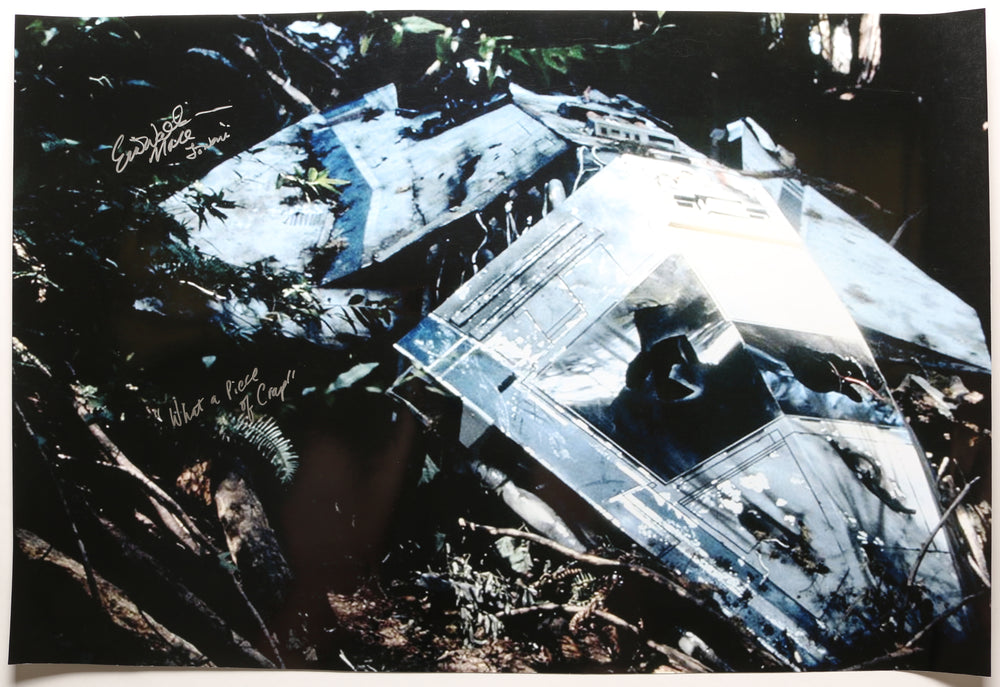 Eric Walker as Mace Towani Crashed Ship in Star Wars Caravan of Courage: An Ewok Adventure Signed 20x30 Poster with Quote