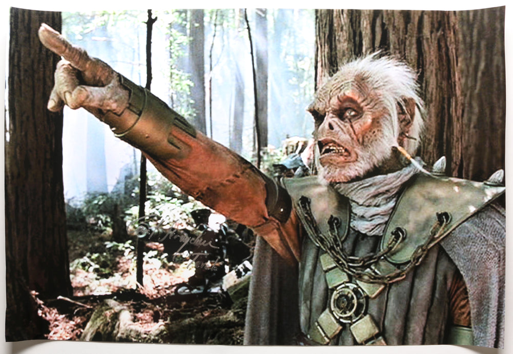 Carel Struycken as Terak in Star Wars Ewoks: The Battle for Endor Signed 20x30 Poster with Character Name