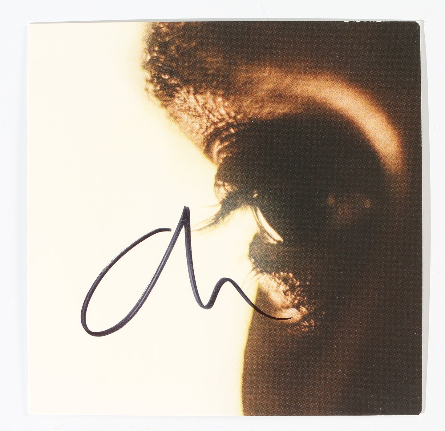 
                  
                    The Weeknd: Hurry Up Tomorrow CD Insert Signed by The Weeknd
                  
                