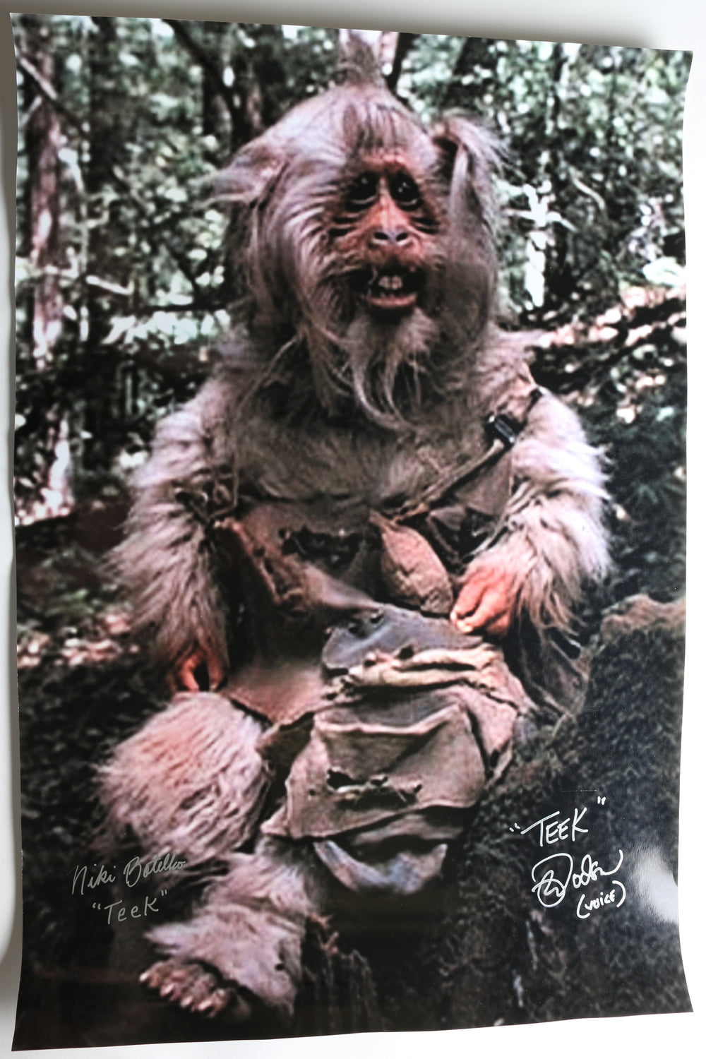 Niki Botelho & Mark Dodson as Teek in Star Wars Ewoks: The Battle for Endor Signed 20x30 Poster with Character Names
