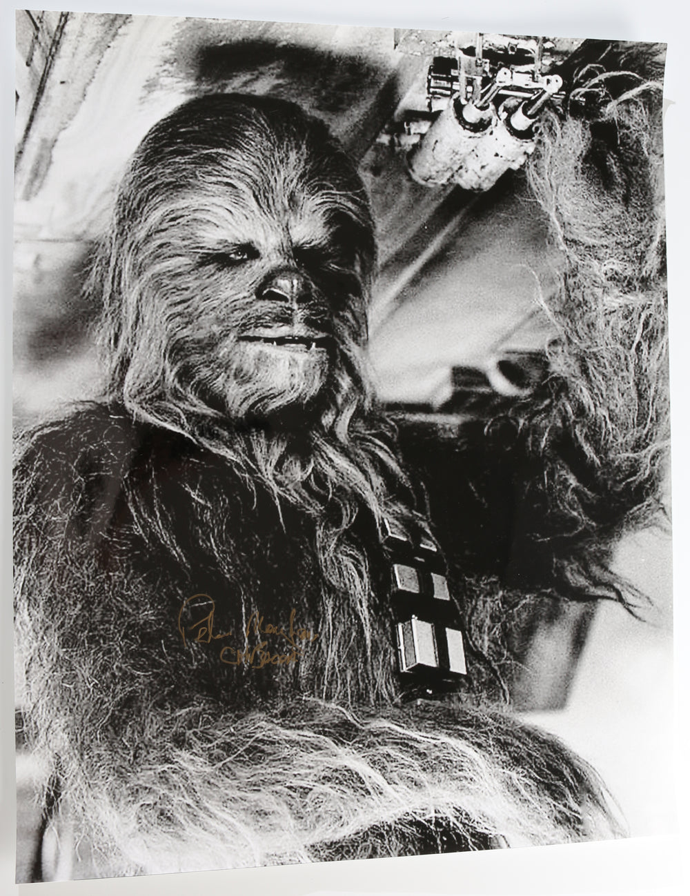 Peter Mayhew as Chewbacca in Star Wars: A New Hope Signed 24x30 Poster