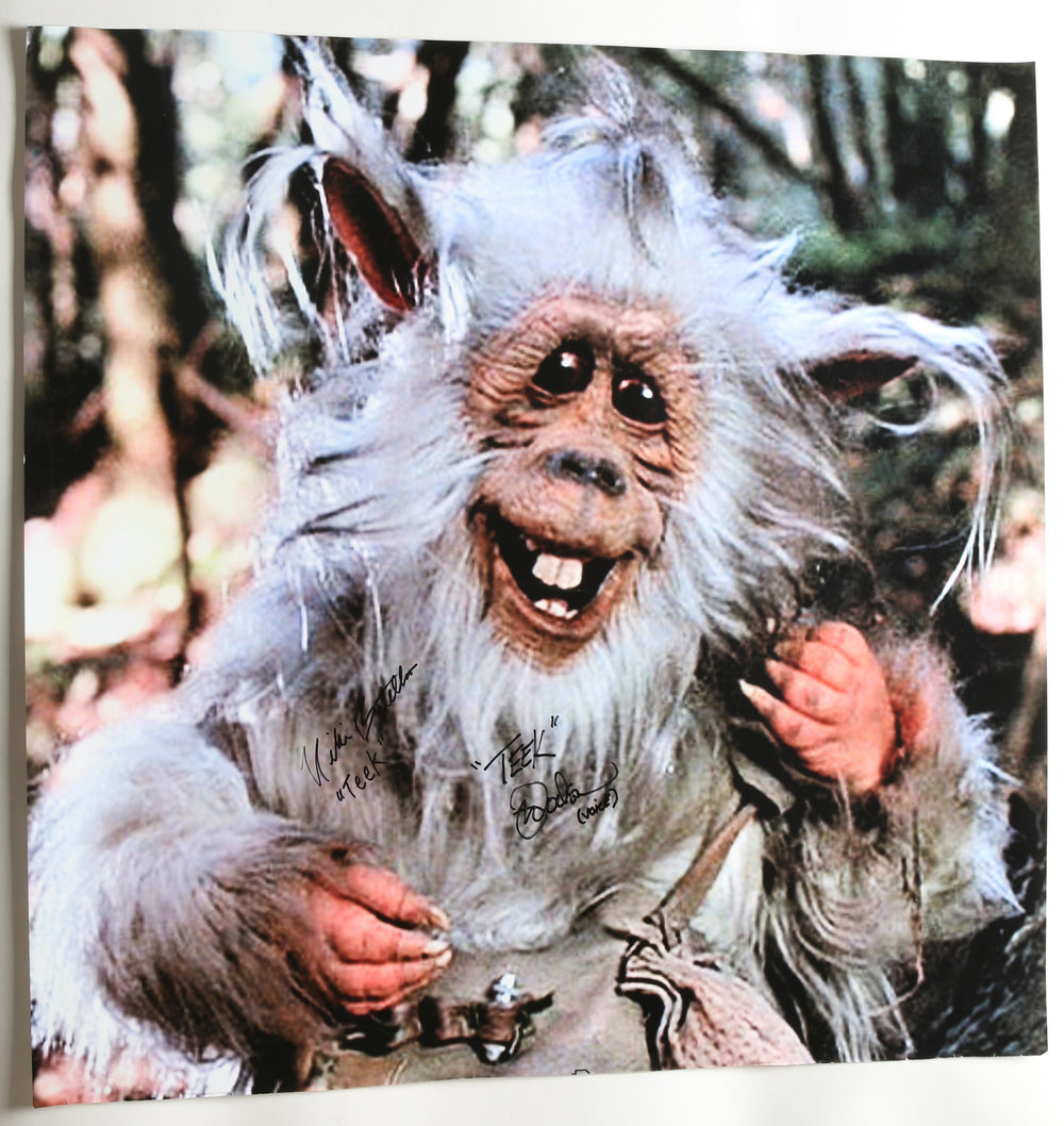 Niki Botelho & Mark Dodson as Teek in Star Wars Ewoks: The Battle for Endor Signed 24x24 Poster with Character Names