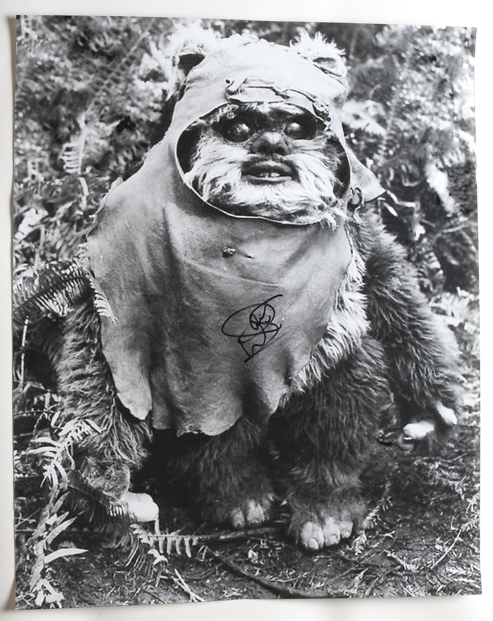 Warwick Davis as Wicket in Star Wars: Return of the Jedi Signed 24x30 Poster