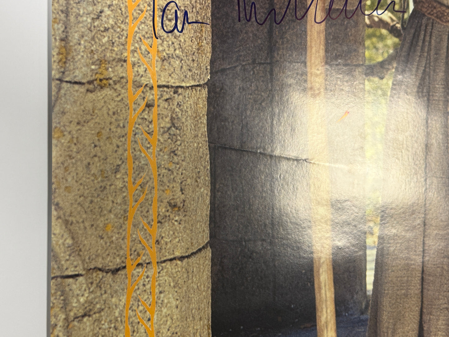 
                  
                    Ian McKellen as Gandalf the Grey in The Lord of the Rings: The Fellowship of the Ring Signed 26.5x38.5 Poster
                  
                