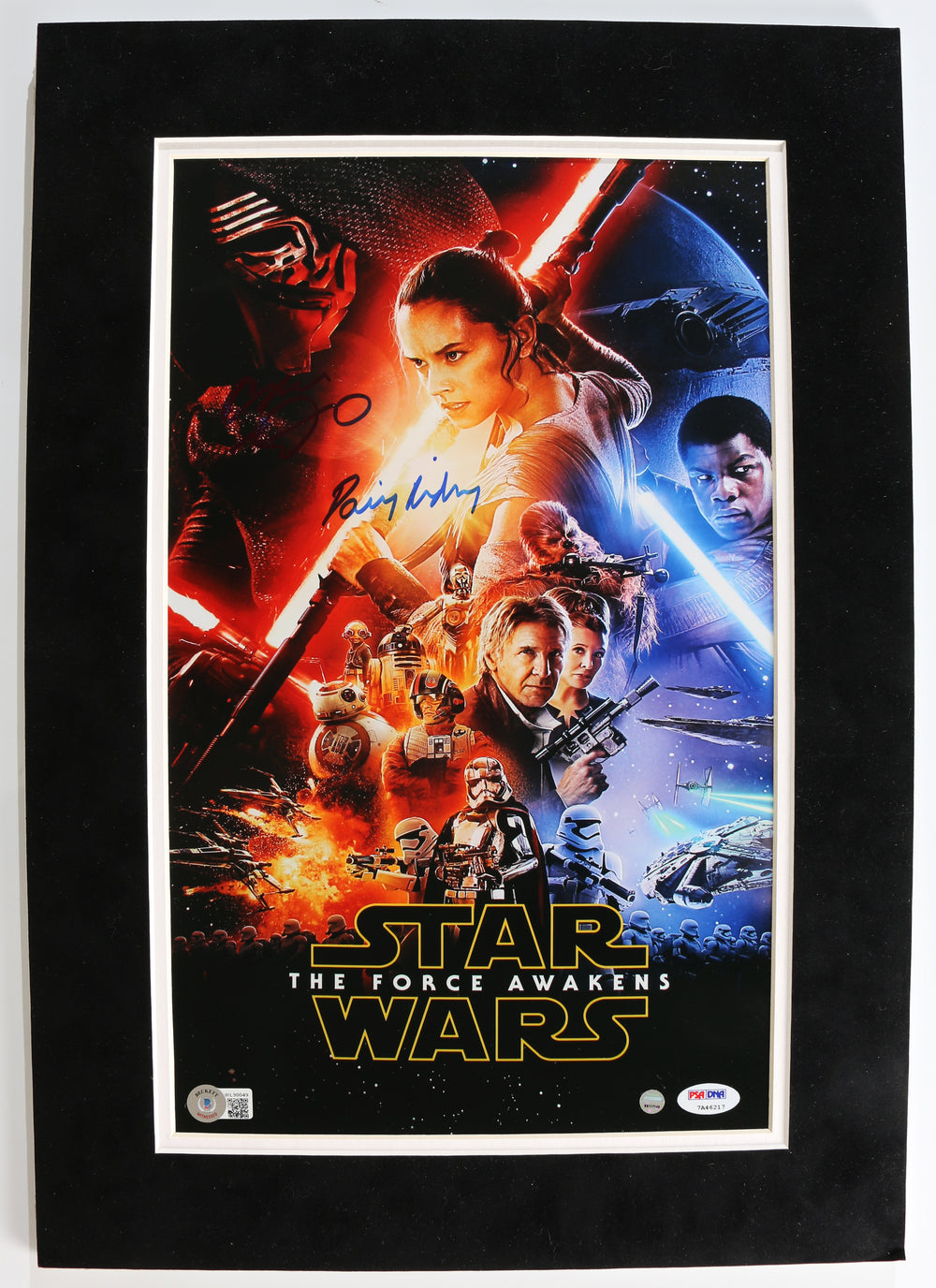 Daisy Ridley as Rey & Adam Driver as Kylo Ren in Star Wars: The Force Awakens (Beckett Witnessed / PSA / Steiner) Signed Mini Poster