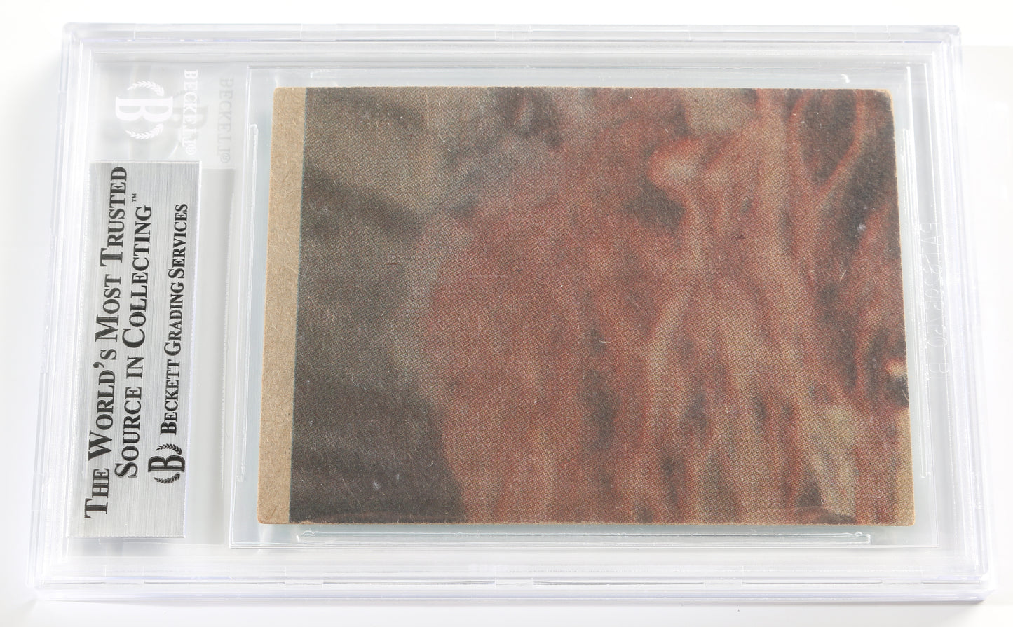 
                  
                    Garrick Hagon as Biggs Darklighter in Star Wars: A New Hope (Beckett Encapsulated) Signed 1977 Trading Card
                  
                