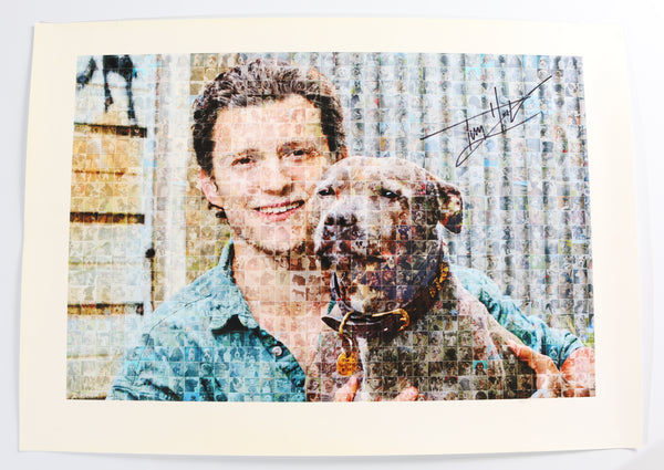 Tom Holland from Spider-Man with Dog Signed 16.5x23.5 Poster