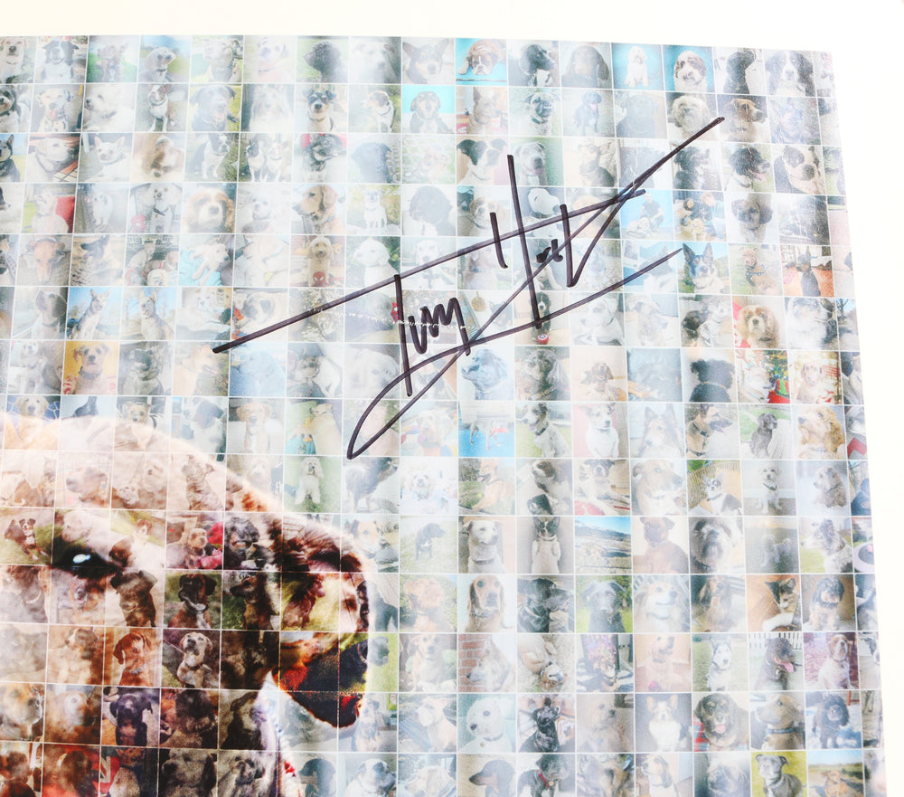 Tom Holland from Spider-Man with Dog Signed 16.5x23.5 Poster