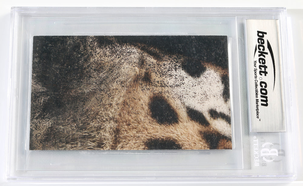 50 Cent Rapper (Beckett Encapsulated) Signed 3x5 Index Card – SWAU