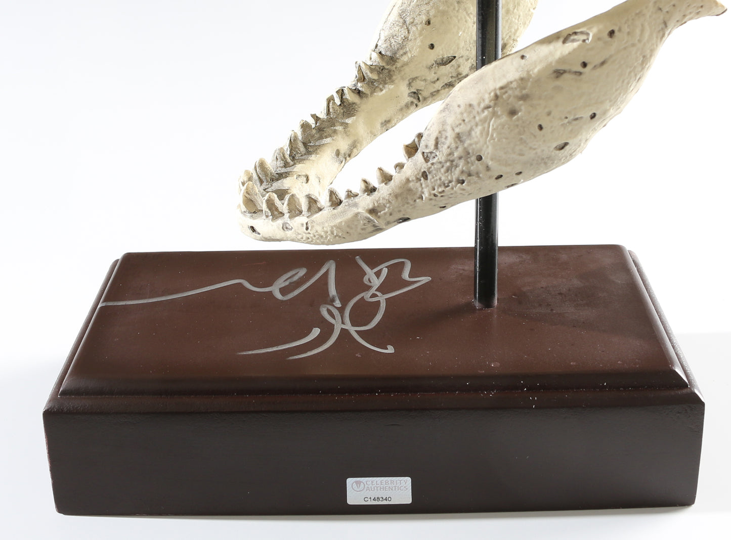 
                  
                    Laura Dern as Ellie Sattler, Jeff Goldblum as Ian Malcolm, & Sam Neill as Alan Grant in Jurassic Park (Celebrity Authentics) Signed Resin Paper Weight T-Rex Skull Replica
                  
                