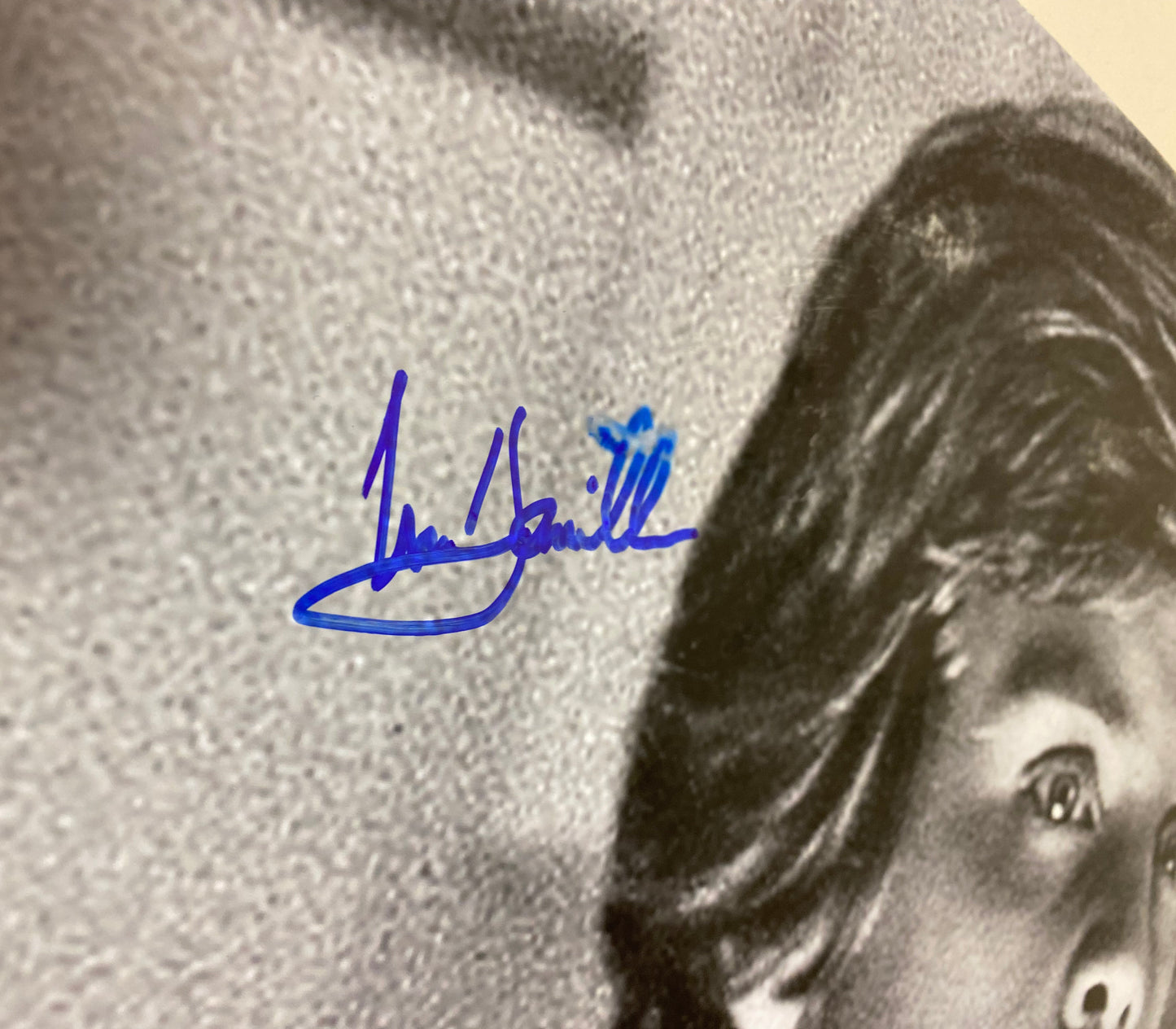 
                  
                    Mark Hamill as Luke Skywalker in Star Wars: The Empire Strikes Back Signed 20x30 Photo
                  
                