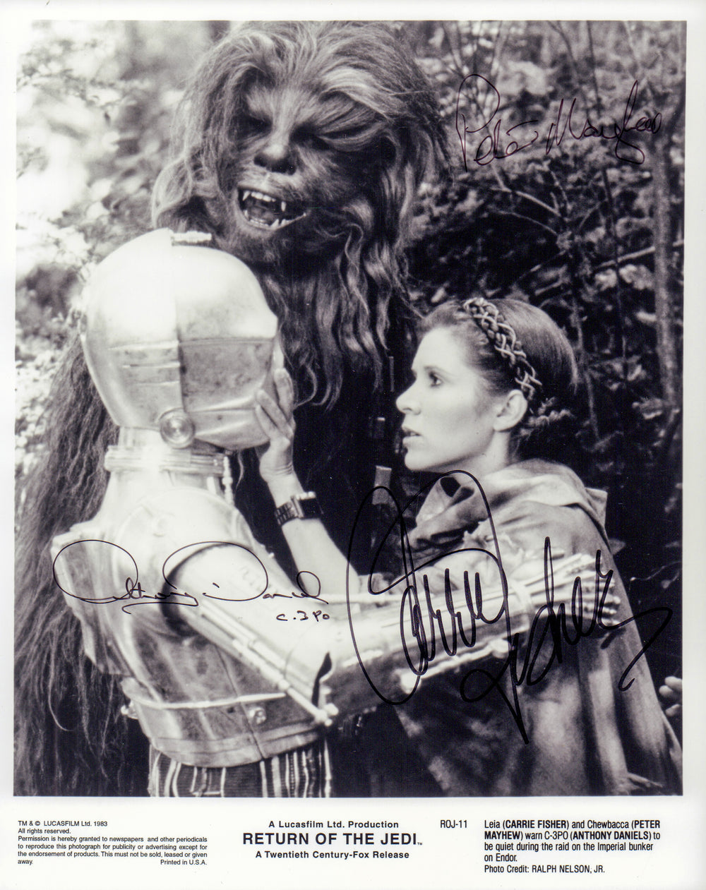 Carrie Fisher as Princess Leia, Peter Mayhew as Chewbacca, & Anthony Daniels as C-3PO in Star Wars: Return of the Jedi Signed 8x10 Photo