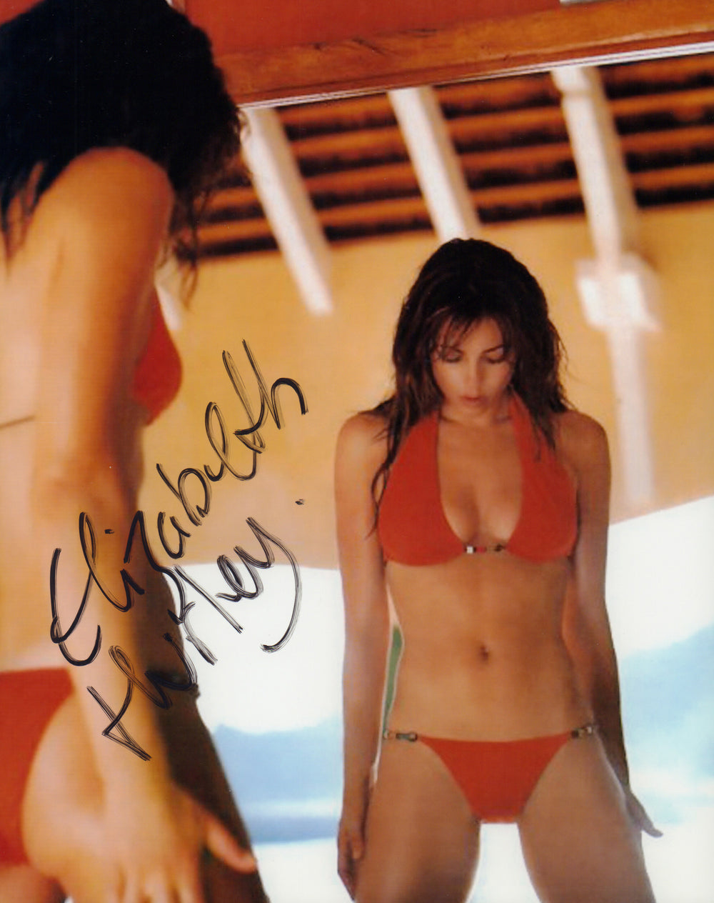 Elizabeth Hurley from Austin Powers and Bedazzled in Bathing Suit Sexy Signed 8x10 Photo