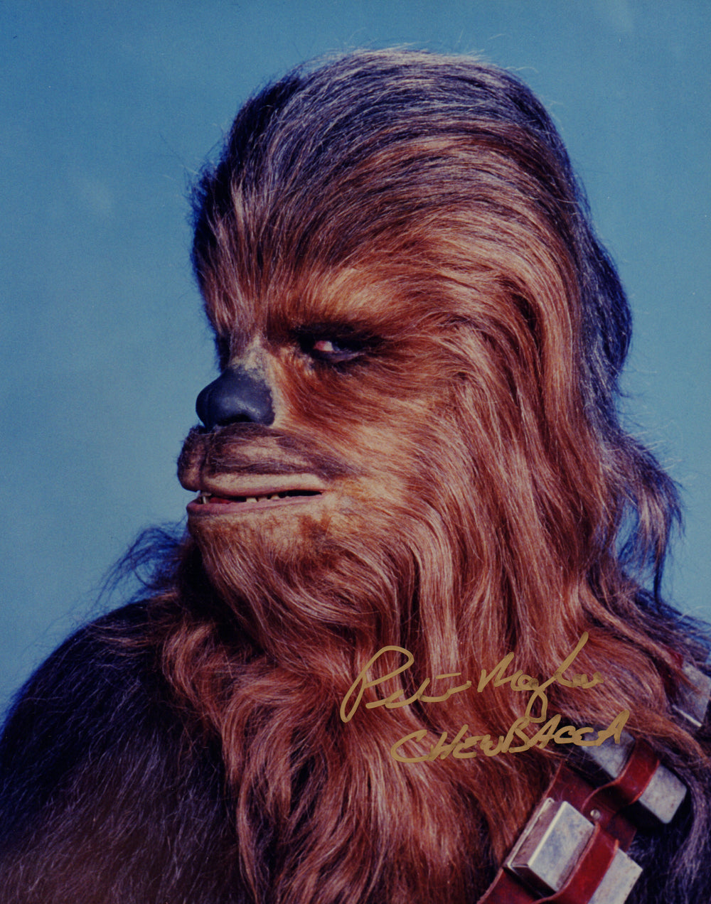 Peter Mayhew as Chewbacca in Star Wars Signed 8x10 Photo