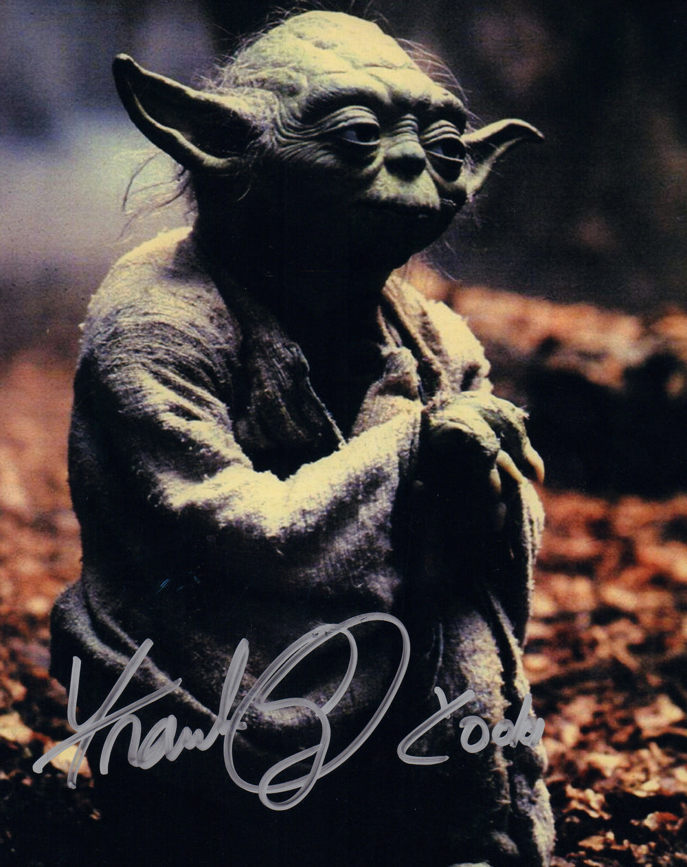 Frank Oz as Yoda in Star Wars: The Empire Strikes Back Signed 8x10 Photo with Character Name