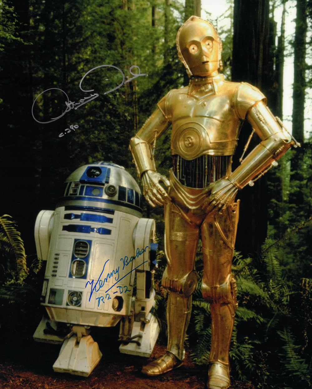 Anthony Daniels as C-3PO & Kenny Baker as R2-D2 in Star Wars: Return of the Jedi Signed 16x20 Photo