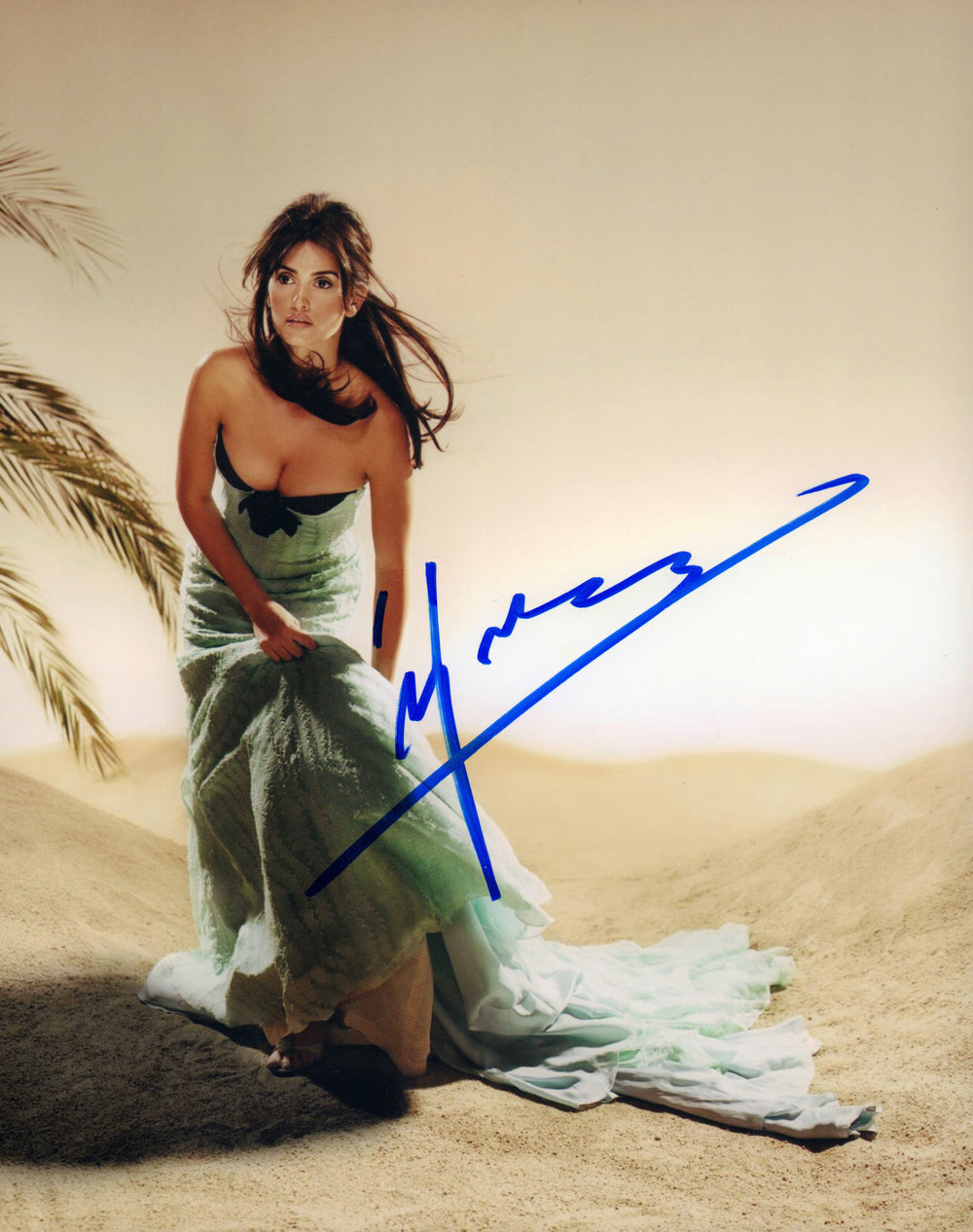 Penelope Cruz from Vanilla Sky, Ferrari, Blow, & Pirates of the Caribbean: On Stranger Tides Sexy Signed 8x10 Photo