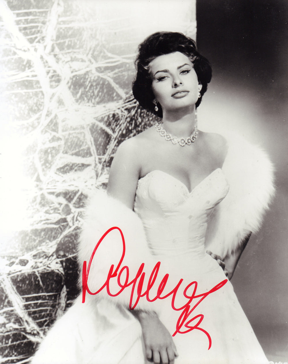 Sophia Loren Sexy Signed 8x10 Photo