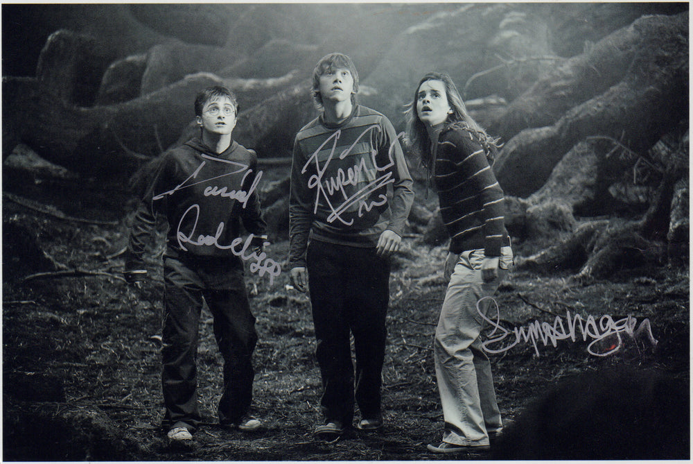 Daniel Radcliffe as Harry Potter, Emma Watson as Hermione Granger, & Rupert Grint as Ron Weasley in Harry Potter and the Order of the Phoenix Signed 5.5x8 Photo