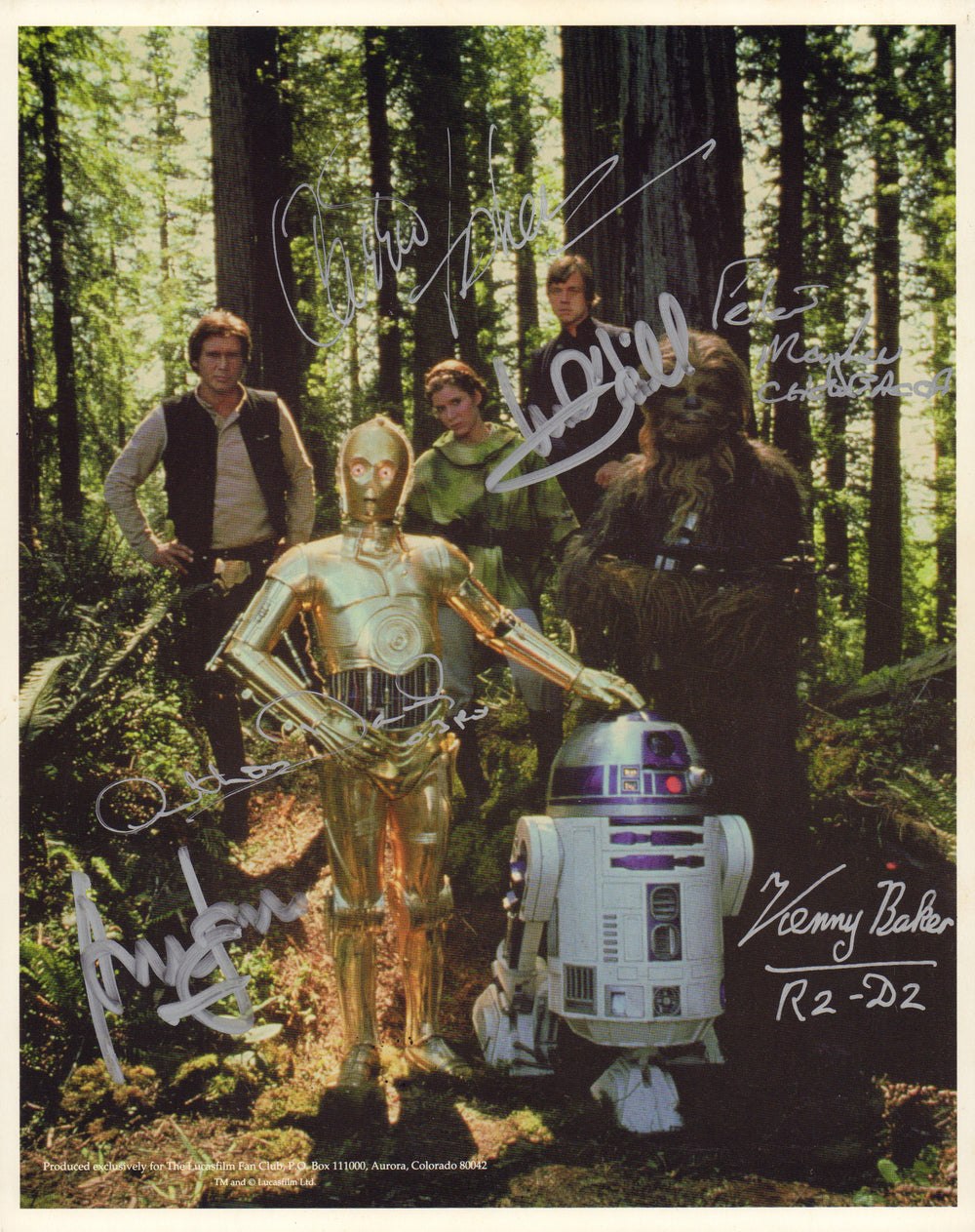 Star Wars: Return of the Jedi (Beckett Witnessed / Coolwaters) 8x10 Photo Cast Signed by Mark Hamill, Carrie Fisher, Harrison Ford, Kenny Baker, Peter Mayhew, & Anthony Daniels