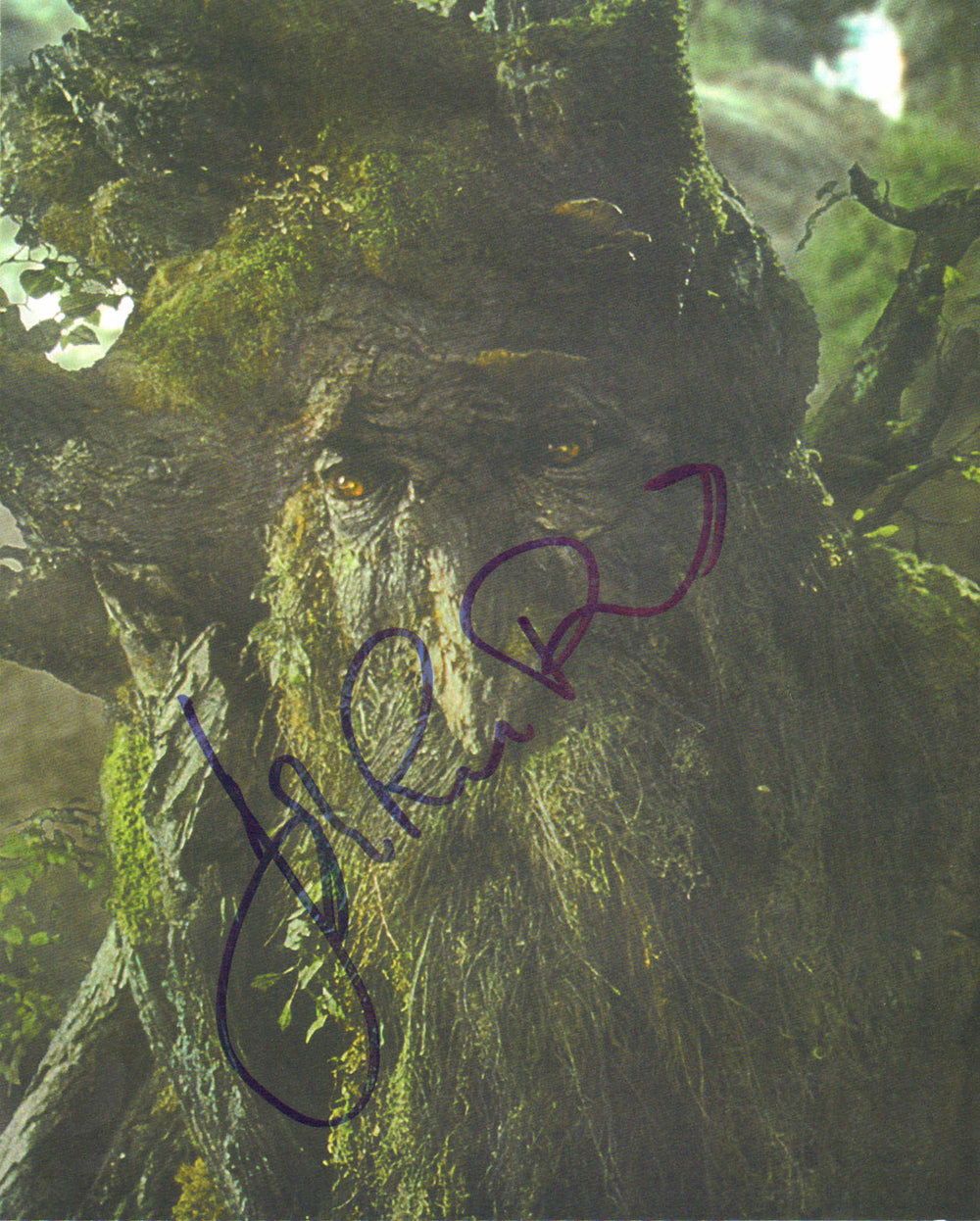 John Rhys-Davies as Treebeard in The Lord of the Rings: Return of the King Signed 8x10 Photo