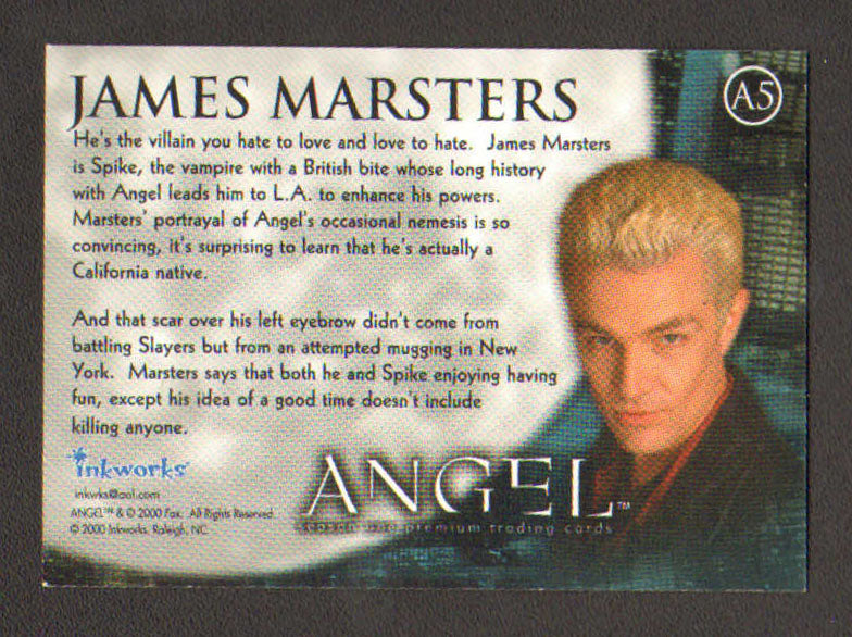 
                  
                    Angel Inkworks Trading Cards 35pc LOT Signed by David Boreanaz, Charisma Carpenter, Glenn Quinn, Alexis Denisof, J. August Richards, Amy Acker, Vincent Kartheiser, Andy Hallett, James Marsters, Mercedes McNab, Gina Torres, Julie Benz, Eliza Dushku, & More
                  
                