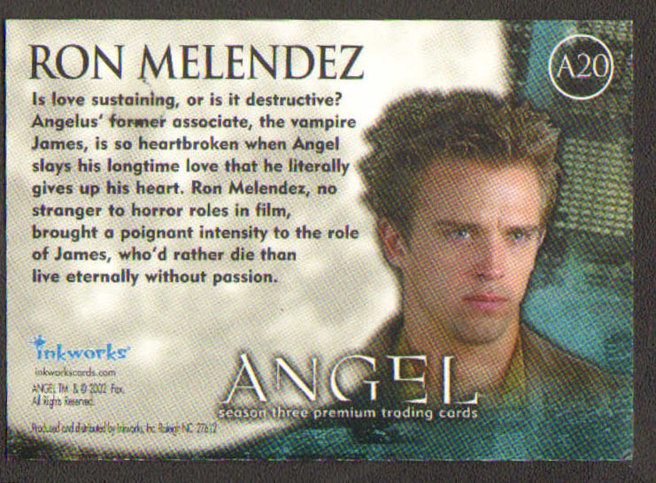 
                  
                    Angel Inkworks Trading Cards 35pc LOT Signed by David Boreanaz, Charisma Carpenter, Glenn Quinn, Alexis Denisof, J. August Richards, Amy Acker, Vincent Kartheiser, Andy Hallett, James Marsters, Mercedes McNab, Gina Torres, Julie Benz, Eliza Dushku, & More
                  
                