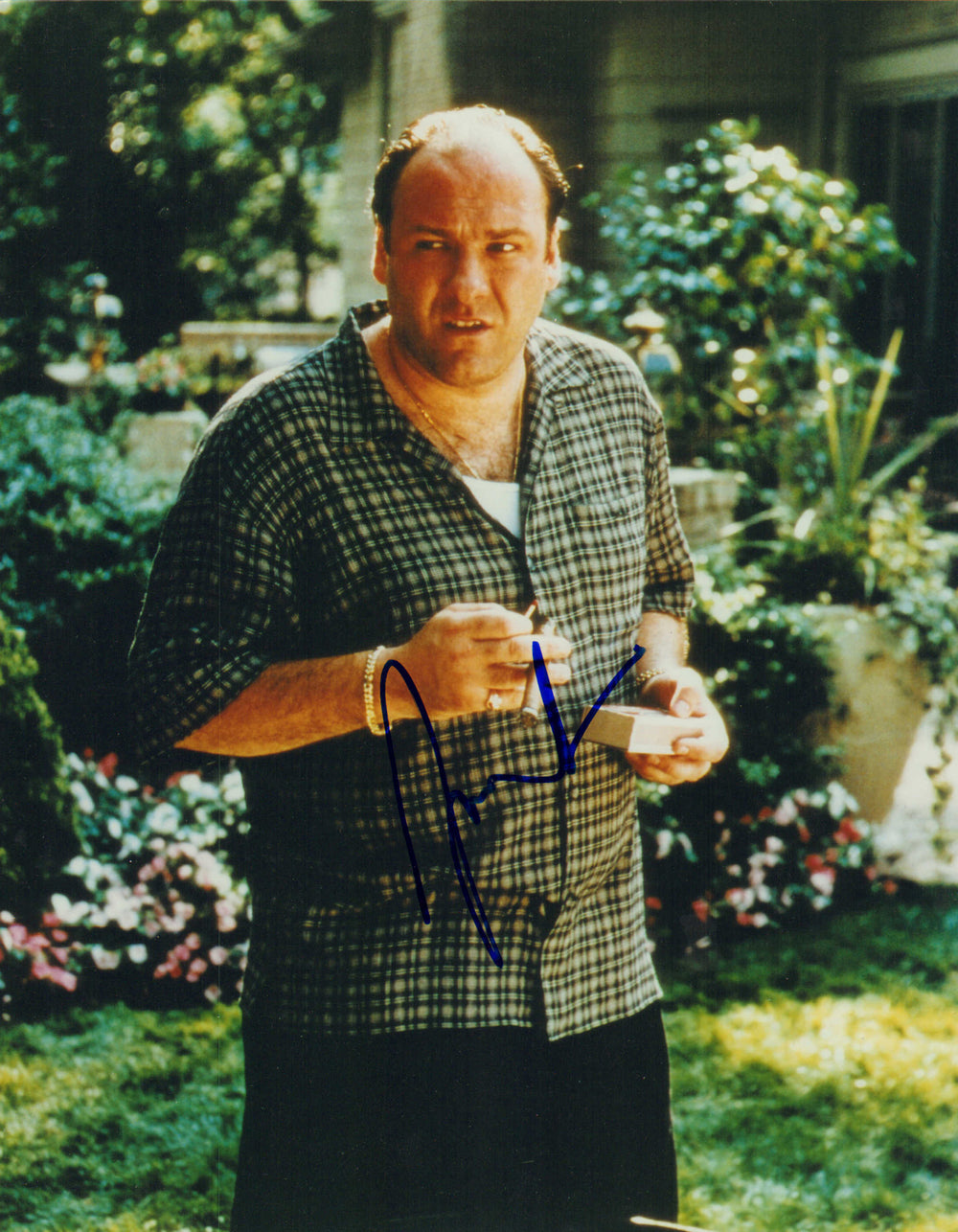 James Gandolfini as Tony Soprano in The Sopranos Signed 11x14 Photo