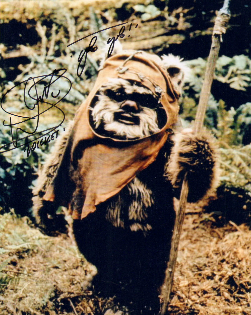 Warwick Davis as Wicket in Star Wars: Return of the Jedi Signed 8x10 Photo with Character Name