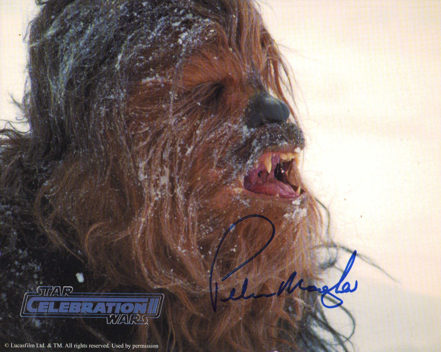 
                  
                    Official Pix Celebration II Set of 43 Signed 8x10 Photos with 3x Carrie Fisher, 2x David Prowse, 2x Peter Mayhew, 2x Kenny Baker, 2x Peter Diamond, Jeremy Bulloch, Phil Brown, Michael Sheard, John Hollis, Bruce Boa, & More
                  
                