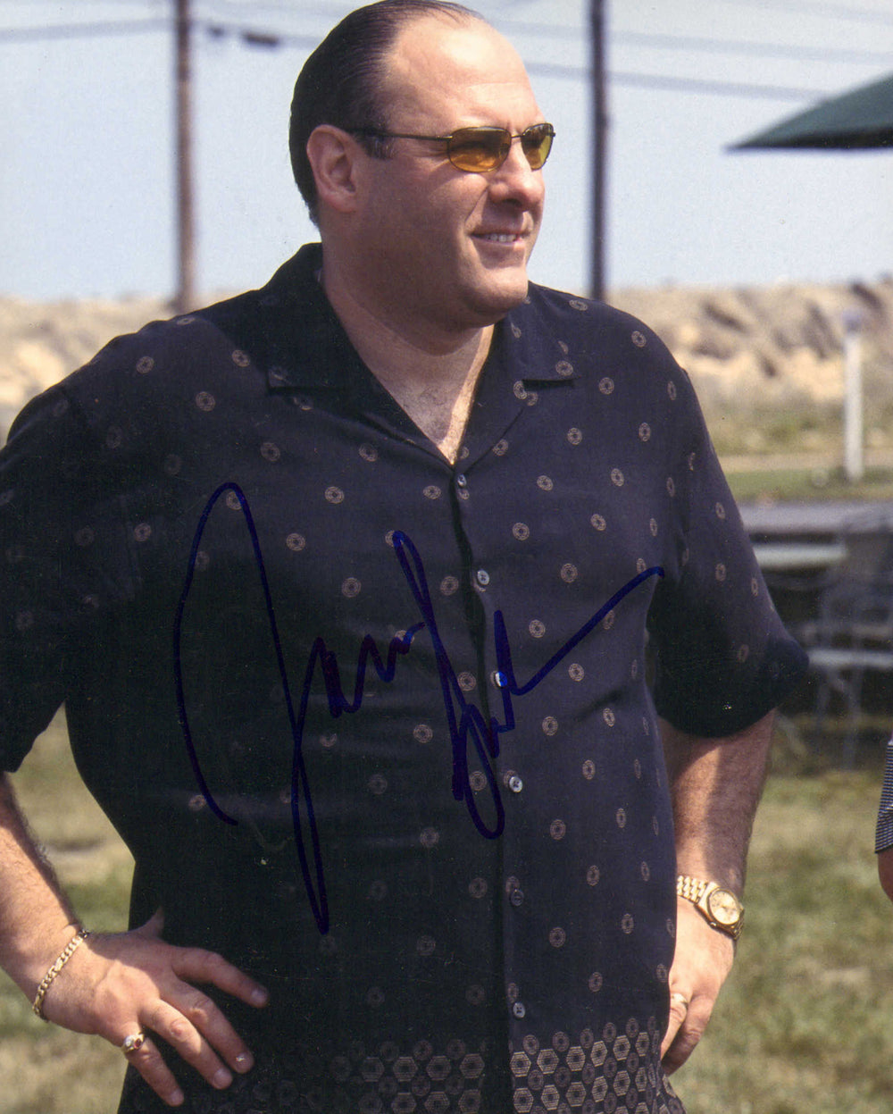 James Gandolfini as Tony Soprano in The Sopranos Signed 8x10 Photo